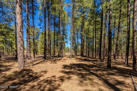 Tiny photo for 4583 Sky Hi Road, Pinetop, AZ 85935 (MLS # 262686)