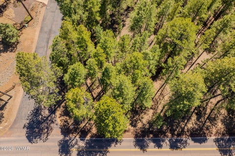 Tiny photo for 4583 Sky Hi Road, Pinetop, AZ 85935 (MLS # 262686)