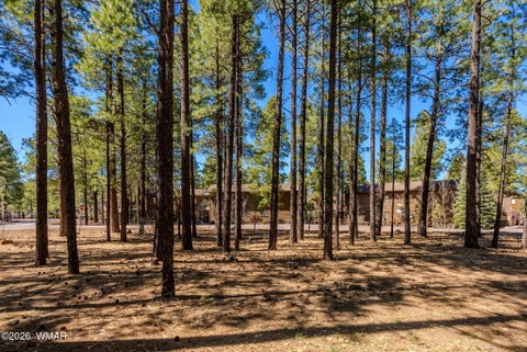 Tiny photo for 4583 Sky Hi Road, Pinetop, AZ 85935 (MLS # 262686)
