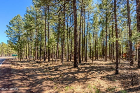 Tiny photo for 4583 Sky Hi Road, Pinetop, AZ 85935 (MLS # 262686)