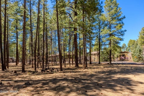 Tiny photo for 4583 Sky Hi Road, Pinetop, AZ 85935 (MLS # 262686)