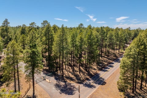 Tiny photo for 4583 Sky Hi Road, Pinetop, AZ 85935 (MLS # 262686)
