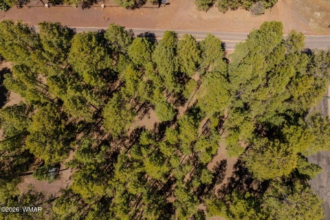 Tiny photo for 4583 Sky Hi Road, Pinetop, AZ 85935 (MLS # 262686)