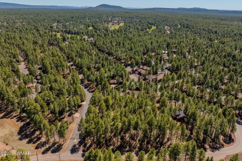 Tiny photo for 4583 Sky Hi Road, Pinetop, AZ 85935 (MLS # 262686)