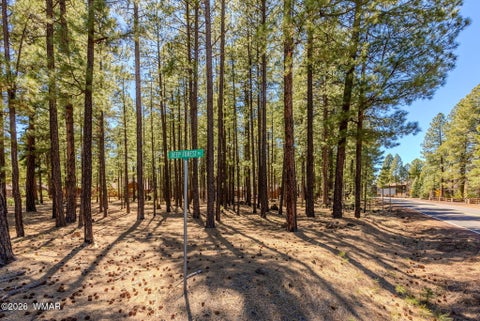 Tiny photo for 4583 Sky Hi Road, Pinetop, AZ 85935 (MLS # 262686)