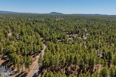 Tiny photo for 4583 Sky Hi Road, Pinetop, AZ 85935 (MLS # 262686)