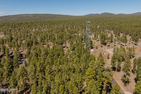Tiny photo for 4583 Sky Hi Road, Pinetop, AZ 85935 (MLS # 262686)