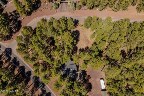 Tiny photo for 4583 Sky Hi Road, Pinetop, AZ 85935 (MLS # 262686)