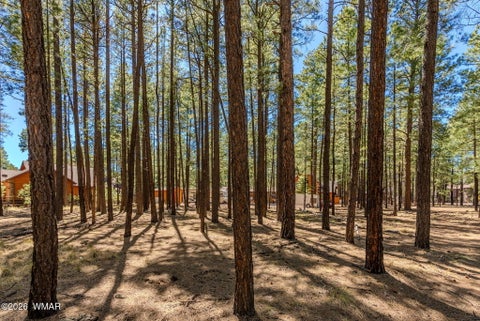 Tiny photo for 4583 Sky Hi Road, Pinetop, AZ 85935 (MLS # 262686)