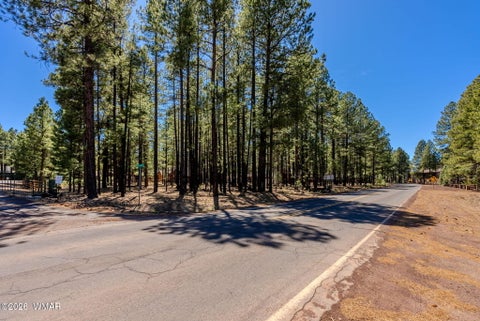 Tiny photo for 4583 Sky Hi Road, Pinetop, AZ 85935 (MLS # 262686)