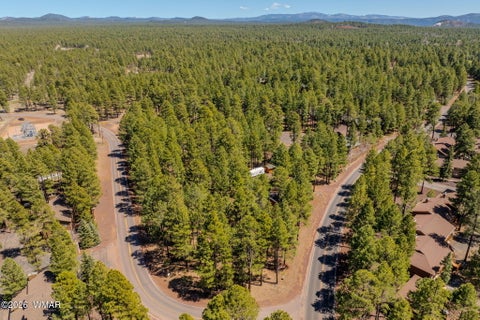 Tiny photo for 4583 Sky Hi Road, Pinetop, AZ 85935 (MLS # 262686)