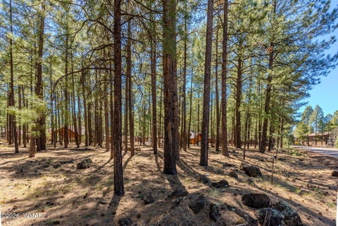 Tiny photo for 4583 Sky Hi Road, Pinetop, AZ 85935 (MLS # 262686)
