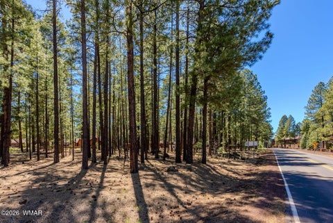 Tiny photo for 4583 Sky Hi Road, Pinetop, AZ 85935 (MLS # 262686)