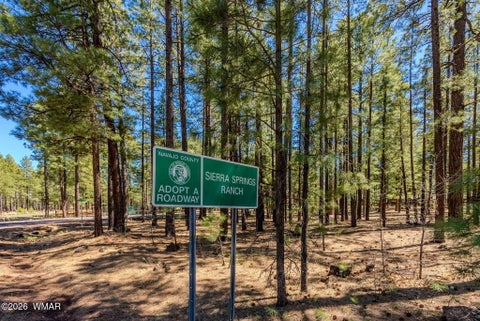 Tiny photo for 4583 Sky Hi Road, Pinetop, AZ 85935 (MLS # 262686)