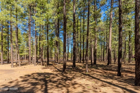Tiny photo for 4583 Sky Hi Road, Pinetop, AZ 85935 (MLS # 262686)