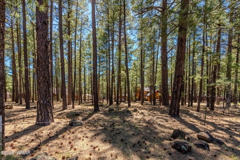Tiny photo for 4583 Sky Hi Road, Pinetop, AZ 85935 (MLS # 262686)