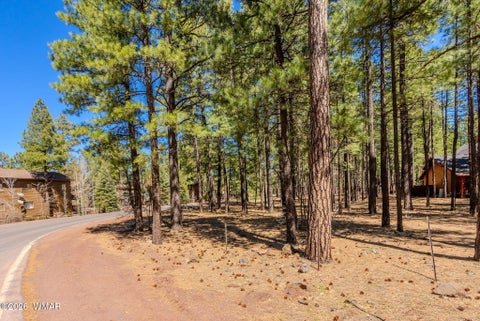 Tiny photo for 4583 Sky Hi Road, Pinetop, AZ 85935 (MLS # 262686)