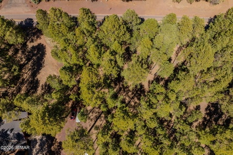 Tiny photo for 4583 Sky Hi Road, Pinetop, AZ 85935 (MLS # 262686)