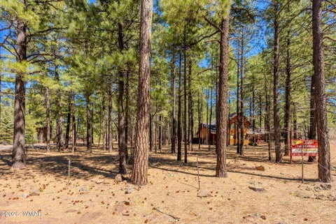 Tiny photo for 4583 Sky Hi Road, Pinetop, AZ 85935 (MLS # 262686)