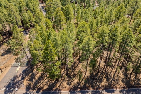 Tiny photo for 4583 Sky Hi Road, Pinetop, AZ 85935 (MLS # 262686)