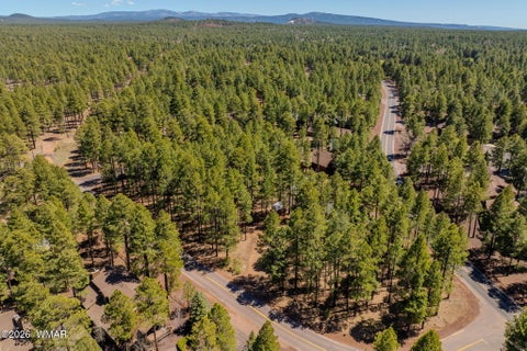 Tiny photo for 4583 Sky Hi Road, Pinetop, AZ 85935 (MLS # 262686)