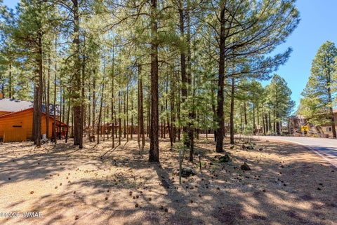 Tiny photo for 4583 Sky Hi Road, Pinetop, AZ 85935 (MLS # 262686)