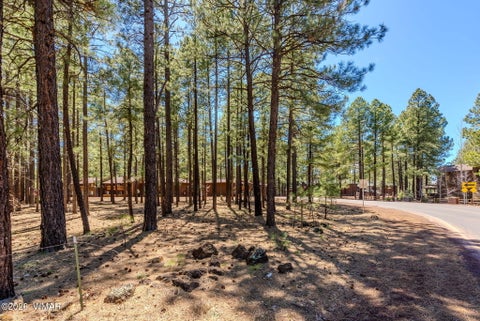 Tiny photo for 4583 Sky Hi Road, Pinetop, AZ 85935 (MLS # 262686)
