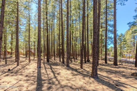 Tiny photo for 4583 Sky Hi Road, Pinetop, AZ 85935 (MLS # 262686)