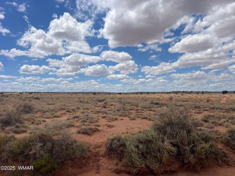 Photo of 8357 Terry Trail, Snowflake, AZ 85937 (MLS # 257292)