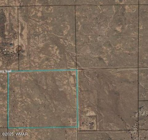 Tiny photo for 8357 Terry Trail, Snowflake, AZ 85937 (MLS # 257292)