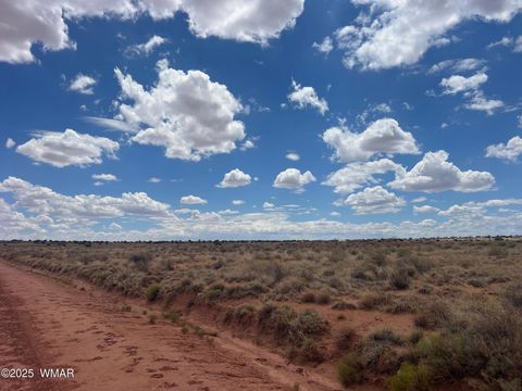 Tiny photo for 8357 Terry Trail, Snowflake, AZ 85937 (MLS # 257292)