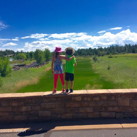 Tiny photo for 9580 Sierra Springs Drive, Pinetop, AZ 85935 (MLS # 251694)