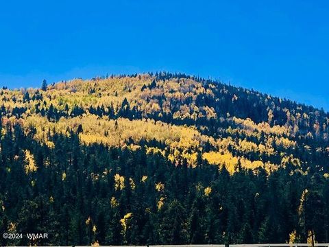 Tiny photo for 9580 Sierra Springs Drive, Pinetop, AZ 85935 (MLS # 251694)