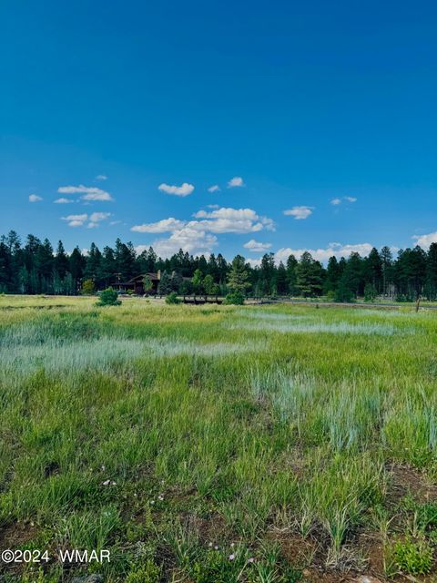 Photo of 9580 Sierra Springs Drive, Pinetop, AZ 85935 (MLS # 251694)