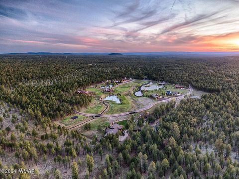 Tiny photo for 9580 Sierra Springs Drive, Pinetop, AZ 85935 (MLS # 251694)