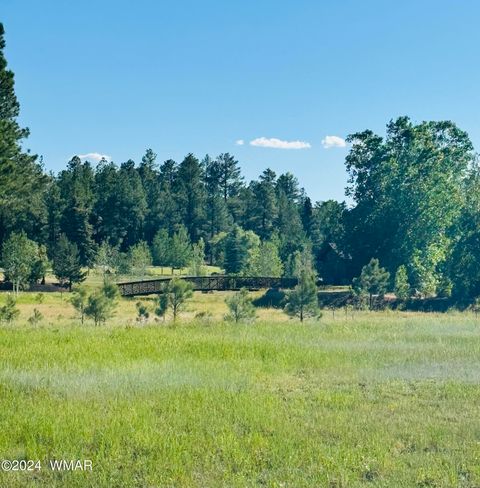 Tiny photo for 9580 Sierra Springs Drive, Pinetop, AZ 85935 (MLS # 251694)
