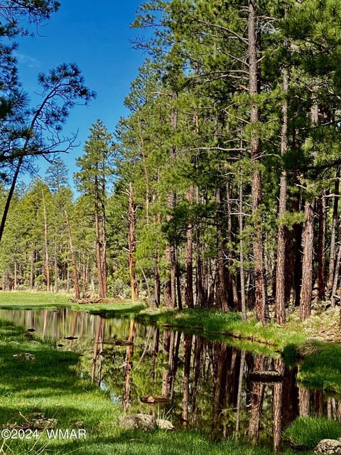 Tiny photo for 9580 Sierra Springs Drive, Pinetop, AZ 85935 (MLS # 251694)