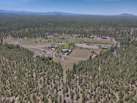 Tiny photo for 9580 Sierra Springs Drive, Pinetop, AZ 85935 (MLS # 251694)