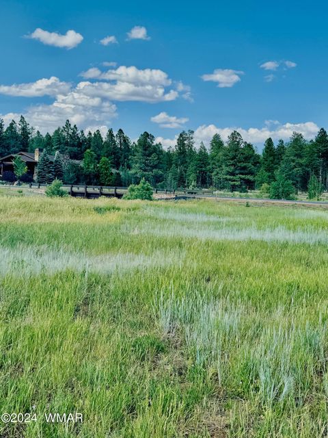 Tiny photo for 9580 Sierra Springs Drive, Pinetop, AZ 85935 (MLS # 251694)