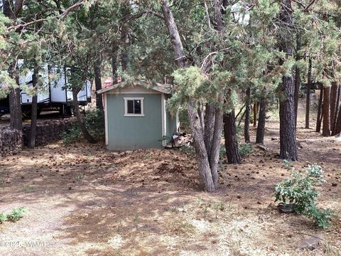 Tiny photo for 539 W Cooley Lane, Lakeside, AZ 85929 (MLS # 256799)