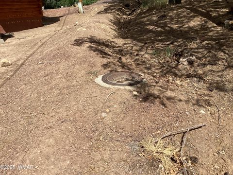 Tiny photo for 539 W Cooley Lane, Lakeside, AZ 85929 (MLS # 256799)