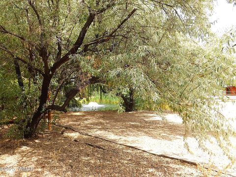 Tiny photo for 2348 S Buffalo Loop, Overgaard, AZ 85933 (MLS # 257746)