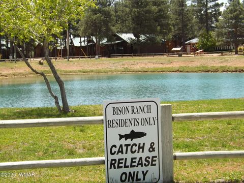 Tiny photo for 2348 S Buffalo Loop, Overgaard, AZ 85933 (MLS # 257746)