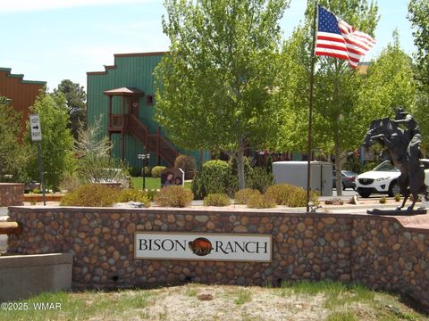 Tiny photo for 2348 S Buffalo Loop, Overgaard, AZ 85933 (MLS # 257746)
