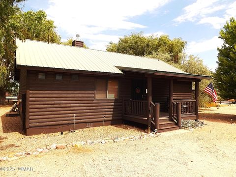 Photo of 2348 S Buffalo Loop, Overgaard, AZ 85933 (MLS # 257746)