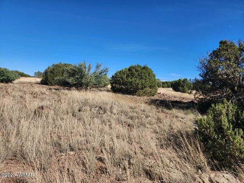 Tiny photo for 2147 Mallory Drive, Show Low, AZ 85901 (MLS # 254649)