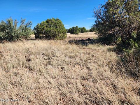 Tiny photo for 2147 Mallory Drive, Show Low, AZ 85901 (MLS # 254649)