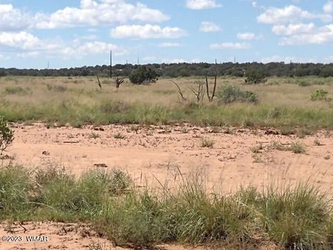 Tiny photo for 4401 Jay Road, Snowflake, AZ 85937 (MLS # 248084)