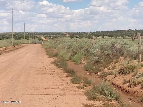 Tiny photo for 4401 Jay Road, Snowflake, AZ 85937 (MLS # 248084)