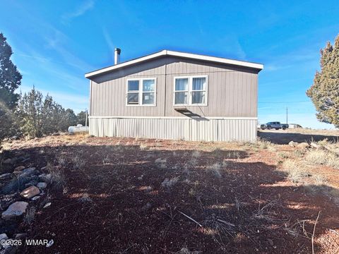 Tiny photo for 1595 Bourdon Ranch Road, Show Low, AZ 85901 (MLS # 259107)